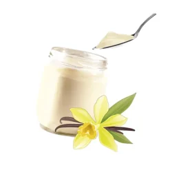 Arôme pour yaourt Vanille 425 g 380310 Lagrange