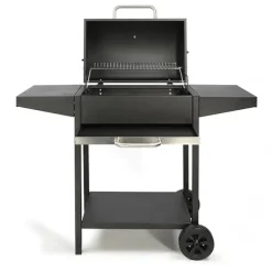 Barbecue à charbon rectangle DOC250 Livoo