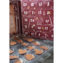 Calendrier de l'avent Sorcier Scrapcooking