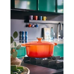Cocotte fonte rond 24 cm volcanique Le Creuset