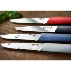 Coffret 4 couteaux de table Bon Appétit Opinel