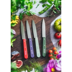 Coffret 4 couteaux d’office N°112 Essentiels Paysage Opinel