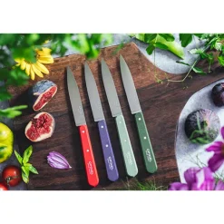 Coffret 4 couteaux d’office N°112 Essentiels Paysage Opinel