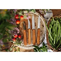 Coffret couteaux N°112, N°113, N°114 et N°115 Les Essentiels Olivier Opinel