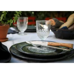Coffret de 4 couteaux de table à lame lisse Facette olivier Opinel