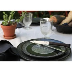 Coffret de 4 couteaux de table à lame lisse Facette frêne sombre Opinel