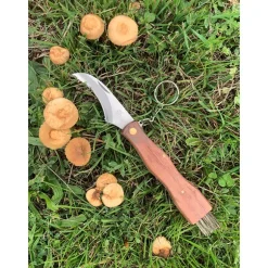 Couteau à Champignons 7 cm avec brosse Evasion Pradel Excellence