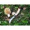 Couteau à champignons pliant N°08 lame inox 8 cm Opinel