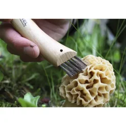 Couteau à champignons pliant N°08 lame inox 8 cm Opinel