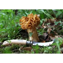 Couteau à champignons pliant N°08 lame inox 8 cm Opinel
