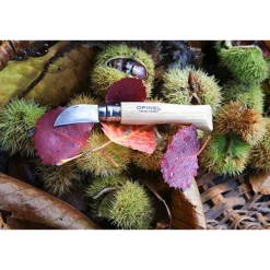 Couteau N°07 châtaigne, ail et dénoyauteur Opinel