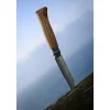 Couteau pliant N°08 Inox 8,5 cm manche en Olivier Opinel