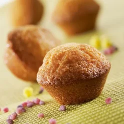 Grande Flexi'Plaque silicone 30 mini-muffins Mathon