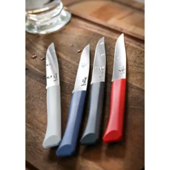 Lot de 2 coffrets 4 couteaux de table Primo Opinel