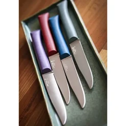 Lot de 2 coffrets 4 couteaux de table Glam Opinel