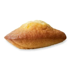 Lot de deux plaques 8 madeleines De Buyer