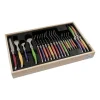 Ménagère laguiole pastel 24 pièces