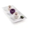 Moule silicone 3D Coccola Silikomart