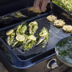 Plancha à gaz Combo enosign 65 bleu navy 2 feux ENO