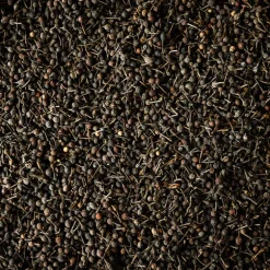 Poivre sauvage Voatsiperifery 3 x 20g Peugeot