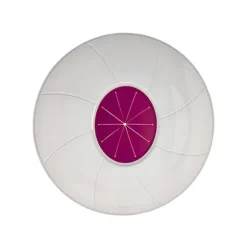 Protège éclaboussure pour mixeur 34,5 cm