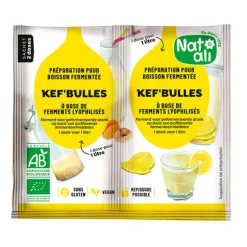 Préparation pour boisson fermentée Kef'Bulles Nat-ali