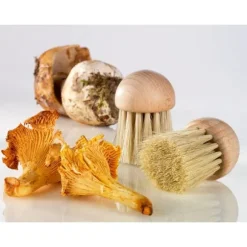 Set brosse à champignons et couteau à champignons pliant N°8