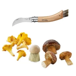 Set brosse à champignons et couteau à champignons pliant N°8