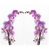 Set 2 couvre-plaques protection motifs Orchidée Wenko by Maximex