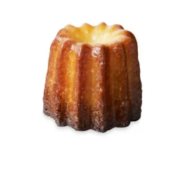 Set de 2 Elastomoules canelés et mini-canelés De Buyer
