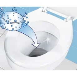 Set de 15 pastilles détartrantes pour WC Wenko by Maximex