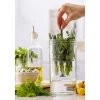 Set de préservation pour herbes en verre et silicone 1 L Kilner